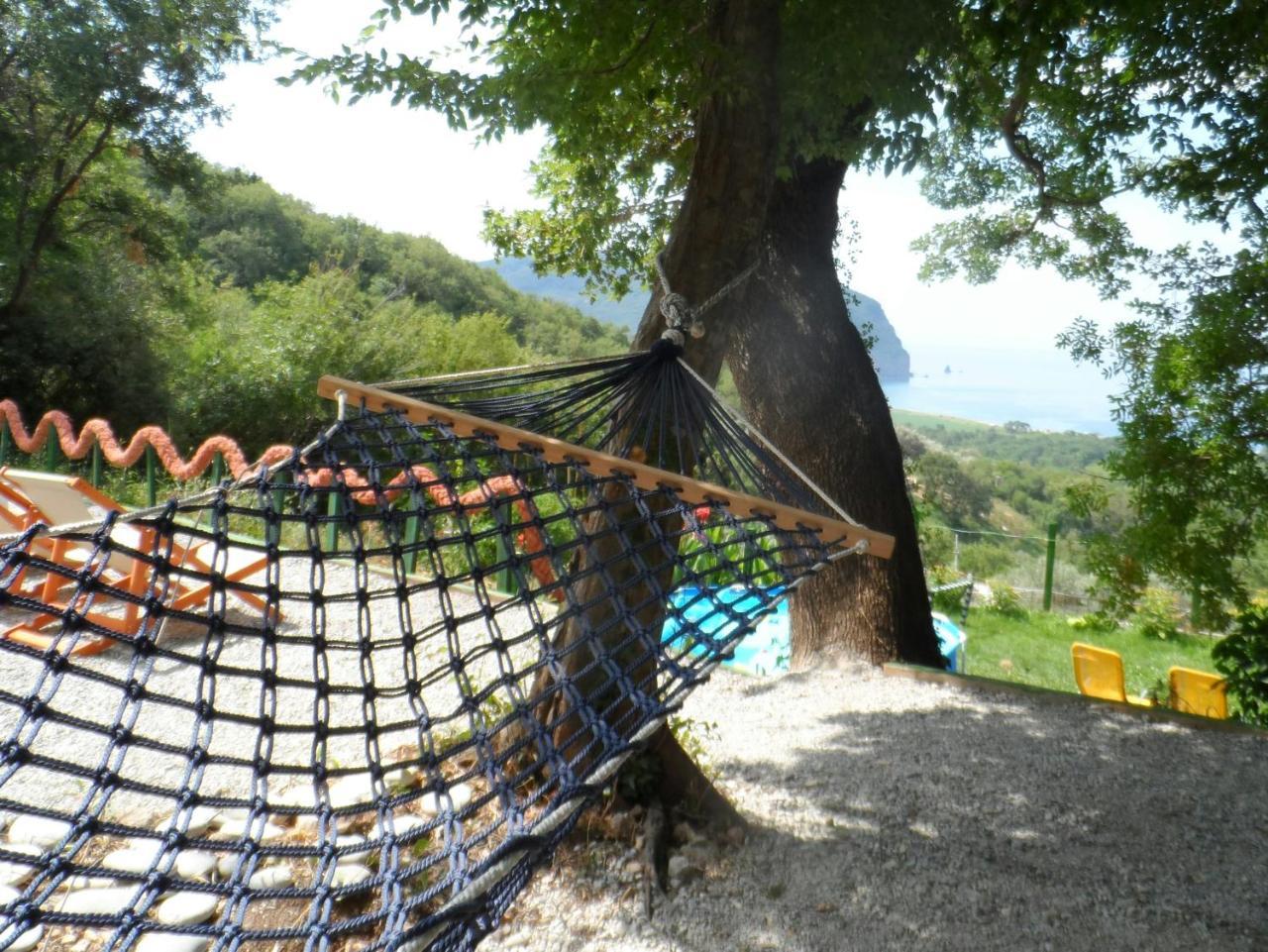 Pataki Guesthouse Petrovac Exteriör bild