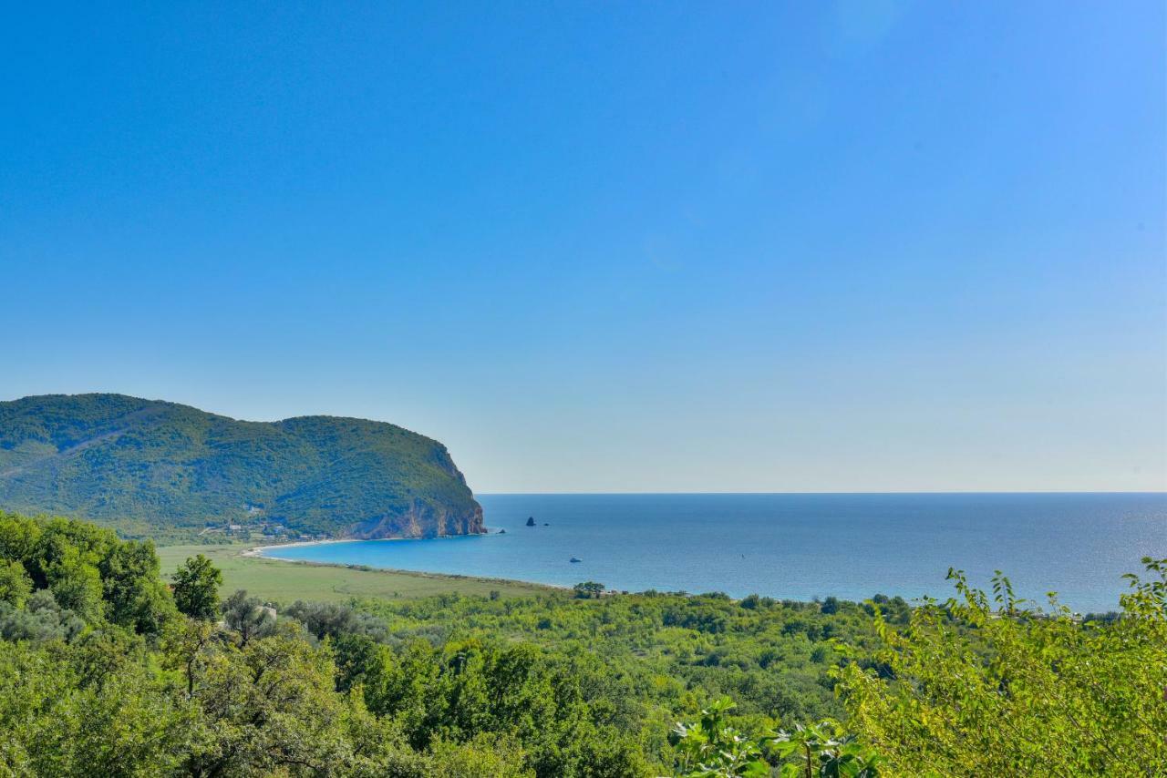 Pataki Guesthouse Petrovac Exteriör bild