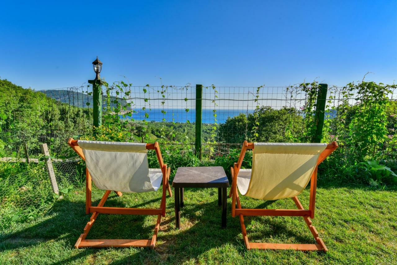 Pataki Guesthouse Petrovac Exteriör bild