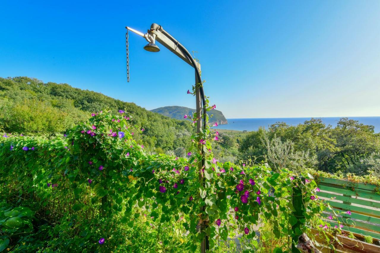 Pataki Guesthouse Petrovac Exteriör bild